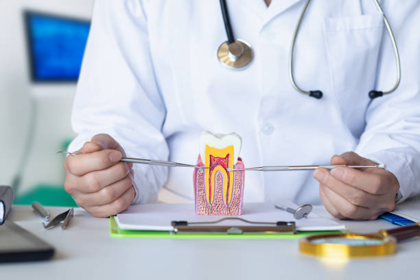Best Emergency Root Canal Treatment in Greenwood, LA